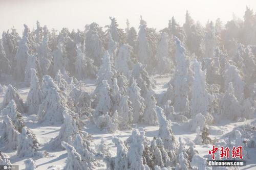 德国山峰树木裹满冰雪 
