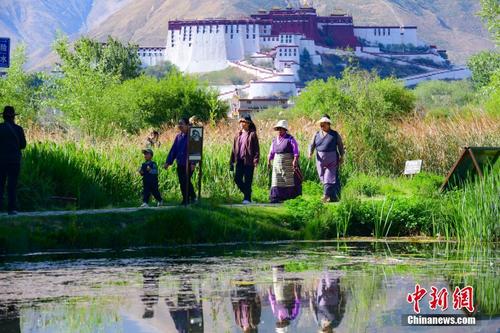 西藏：拉鲁湿地初夏风景如画