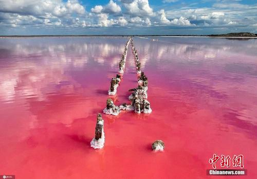 克里米亚盐湖粉色湖水浪漫唯美