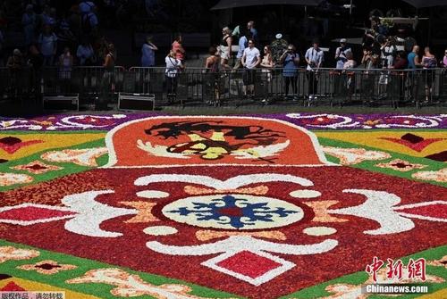 打造鲜花盛宴 比利时民众“编织”巨型花毯