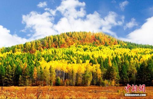 看！森林世界里的秋日色彩