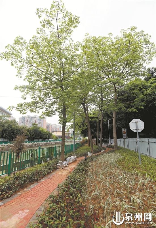 津淮街和淮秀路交叉口的口袋公园仍在建设中 