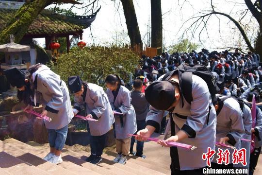 四川千名学子着汉服祭拜“茶祖”采摘春茶