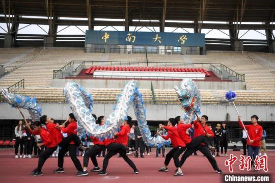 高校舞龙舞狮网络直播授课