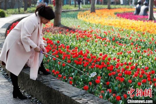 上海：民众户外赏花感受生活（最新发布）