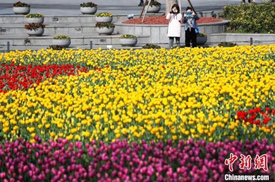 上海：民众户外赏花感受生活（最新发布）