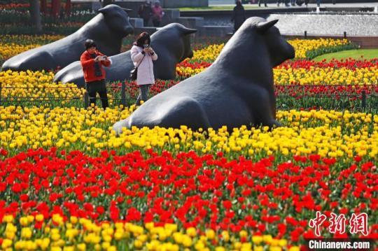 上海：民众户外赏花感受生活（最新发布）