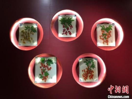 80余件“荔枝”展品亮相重庆文化宴带着科普味