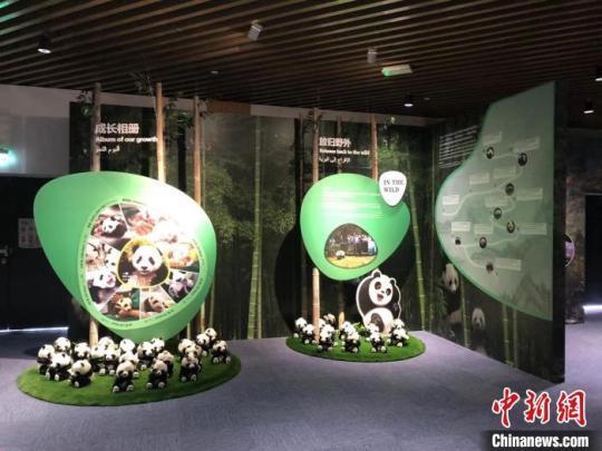 展览现场。　中国大熊猫保护研究中心供图