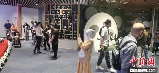 中国大熊猫保护主题展亮相阿联酋2020年迪拜世界博览会