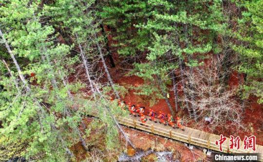 正在景区林间开展不间断巡护的森林消防员。　四川森林消防供图