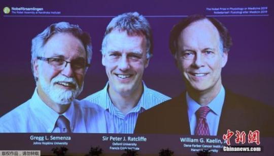 北京时间2019年10月7日下午，诺贝尔生理学或医学奖获奖人名单揭晓：威廉·凯林、格雷格·塞门扎以及彼得·拉特克利夫获奖。