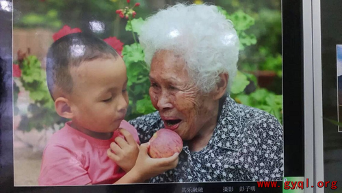 中国侨网