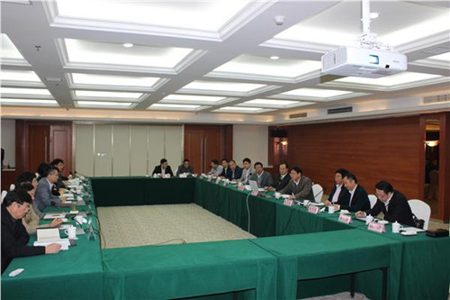 中国侨网王华在座谈会上和与会代表交流