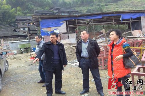 中国侨网考察现场。(图片取自红网)