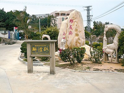 中国侨网