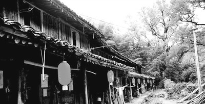 中国侨网瑞安市湖岭镇均路村,电视剧《温州一家人》古树村的原型(资料图片)