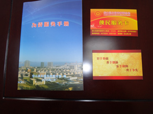 中国侨网