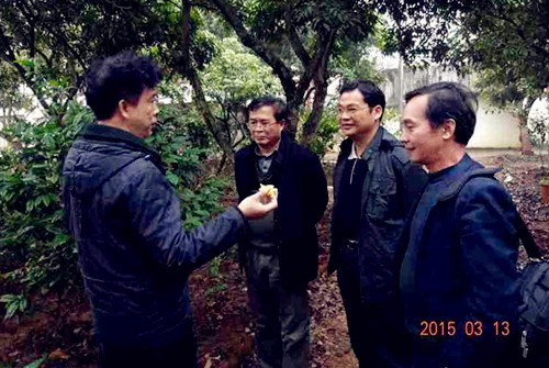 中国侨网广西侨联副主席林振龙(左二)在贵港市侨联主席李靖毅(左三)的陪同下,到贵港市侨资企业进行调研。