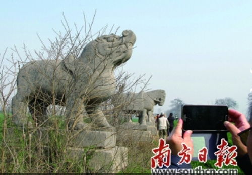 中国侨网麦田中的皇陵,让寻根的赵姓后人感慨万千。 (《南方日报》/杨兴乐 摄)