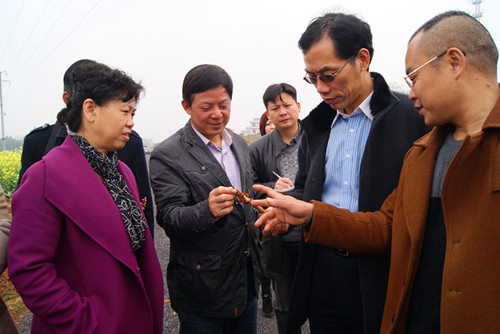 中国侨网湖南省侨联党组书记朱建山来到衡阳市调研。