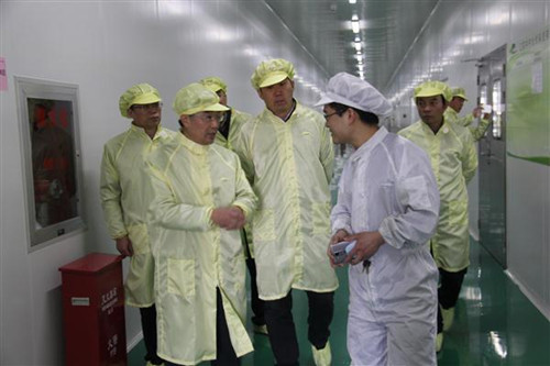 中国侨网