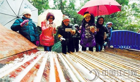 市民在圭峰山上抢拍“冰条”。岑锡斌