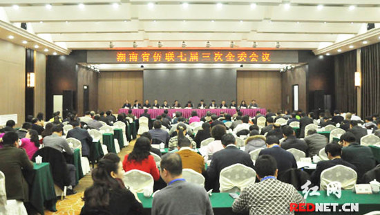 湖南省侨联七届三次全委会议在长沙召开