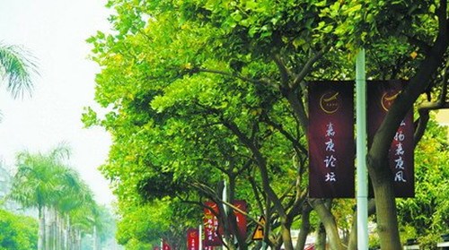 “嘉庚论坛”的海报、嘉庚精神标语等气氛布置已经上街(应洁