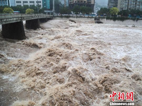 暴雨致浙江文成河水上涨。　黄小青　摄