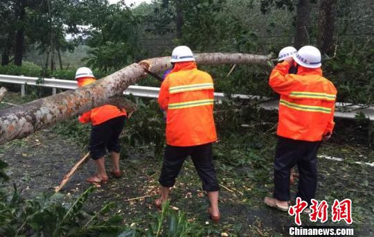 截至18日10时，海南省高速公路、国道未发生阻断，省道阻断2处，图为工人正在疏通道路。　陈长吉　摄
