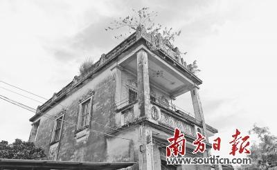 中国侨网南区的侨房大多建于民国初期，目前不少处于空置状态。