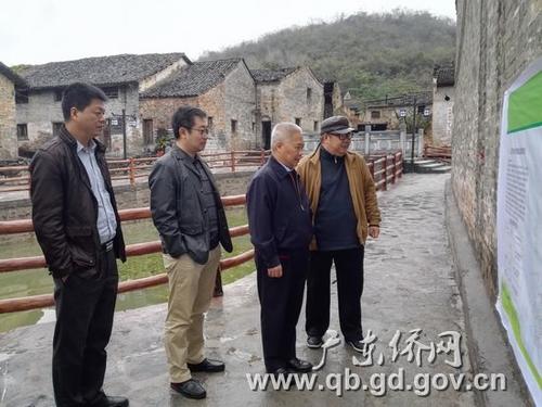中国侨网李仲民副巡视员（右二）仔细浏览连州石兰村古村落改造工程情况展板