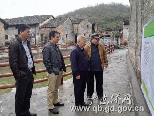 中国侨网李仲民副巡视员(右二)仔细浏览连州石兰村古村落改造工程情况展板