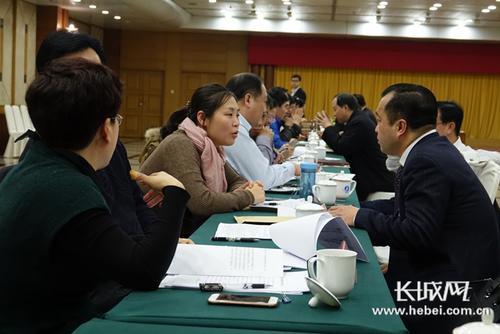 中国侨网海外华侨华人代表与河北有关方面对口座谈交流活动现场。记者 胥文燕 摄