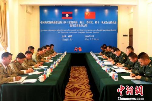 中国侨网图为双方举行会晤。 钟欣 摄
