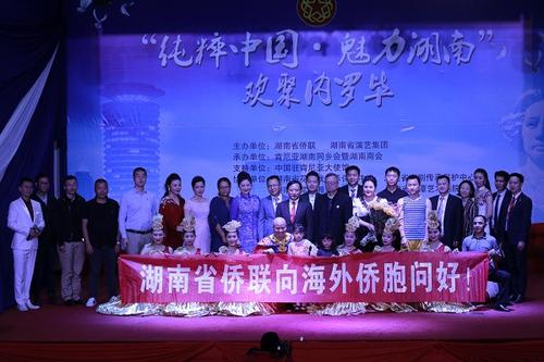 中国侨网(图片来源:湖南省侨联网站)