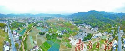 中国侨网鸟瞰侨乡村,阡陌纵横,各具特色的围龙屋点缀其间。南方日报记者 何森垚 摄