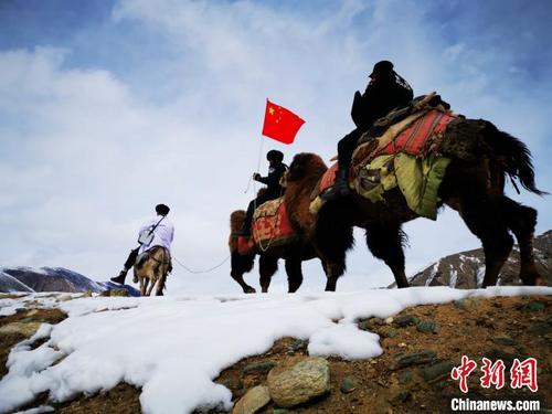 中国侨网驼队通过积雪厚度达60公分的路段。　亚力坤·麦麦提　摄