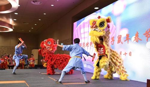 中国侨网(《欧洲时报》/周修怡 摄)