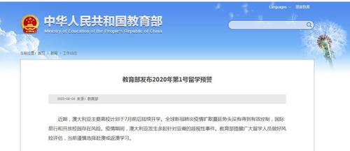 中国侨网（教育部官方网站截图）