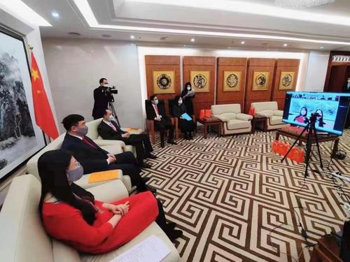 驻韩国大使馆举行在韩华侨华人在线春节联欢会