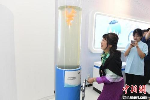 中国侨网华媒代表体验水漩涡实验设备。中新网记者 杨华峰 摄
