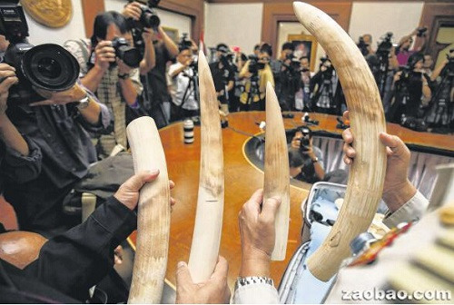 (新加坡《联合早报》援引路透社)