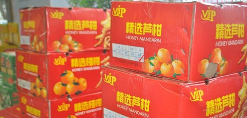 中国侨网(马来西亚《诗华日报》)
