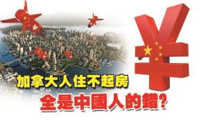 中国侨网