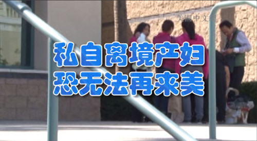 中国侨网（美国中文网）