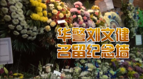 中国侨网