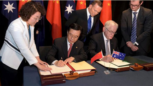 中国侨网