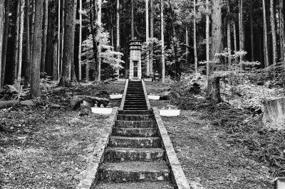 ����λ�ڸ����������ĸ����й�ѳ����ο�鱮�����»�����